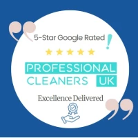 Professional Cleaners 7